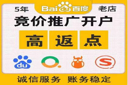 SEM竞价案例分析：提升广告投放效果